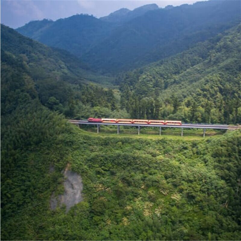 تايوان \ المذهل 106 عاما السكك الحديدية الجبلية